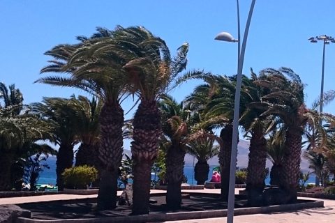 alloggiare a lanzarote