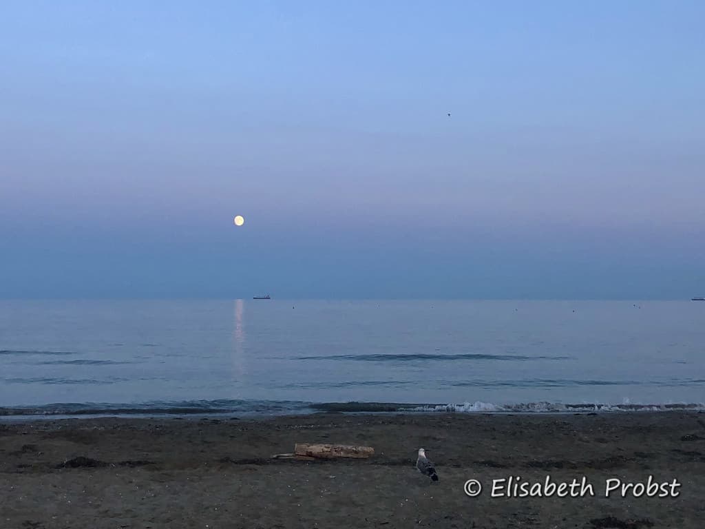 Venice Lido beach with rising moon